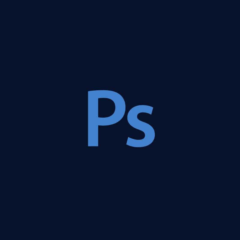 Web Designer 2025